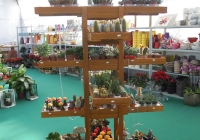 sardegna-vivaio-peterle-garden-carrello