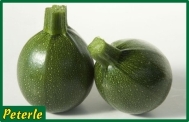 zucchina onda verde ibrida