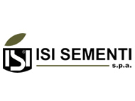 isisementi